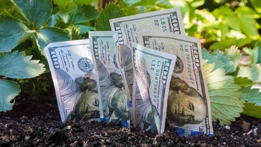 Growing Money In A Garden