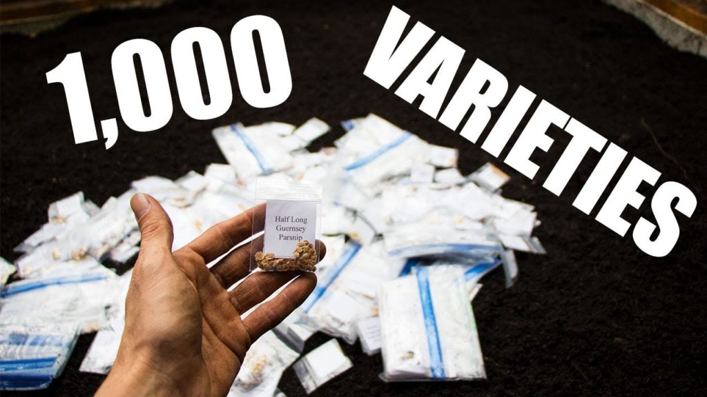 James Prigioni: The ULTIMATE Seed Collection, Over 1,000 Varieties! The ULTIMATE Seed Collection, Over 1,000 Varieties!