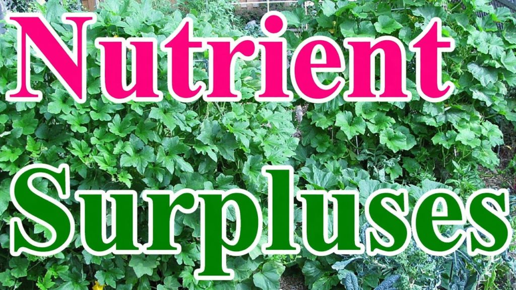 How Long Did It Take to Reach Soil Nutrient Surpluses?