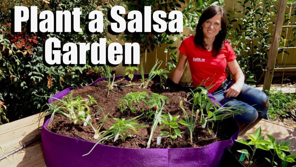 How to Plant a Salsa Garden in a Container 🍅🌱🌶