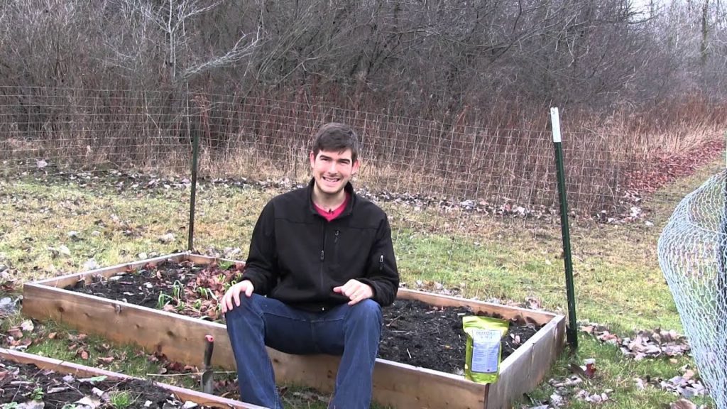 MIgardener: The Importance of Feeding the Soil During Winter The Importance of Feeding the Soil During Winter