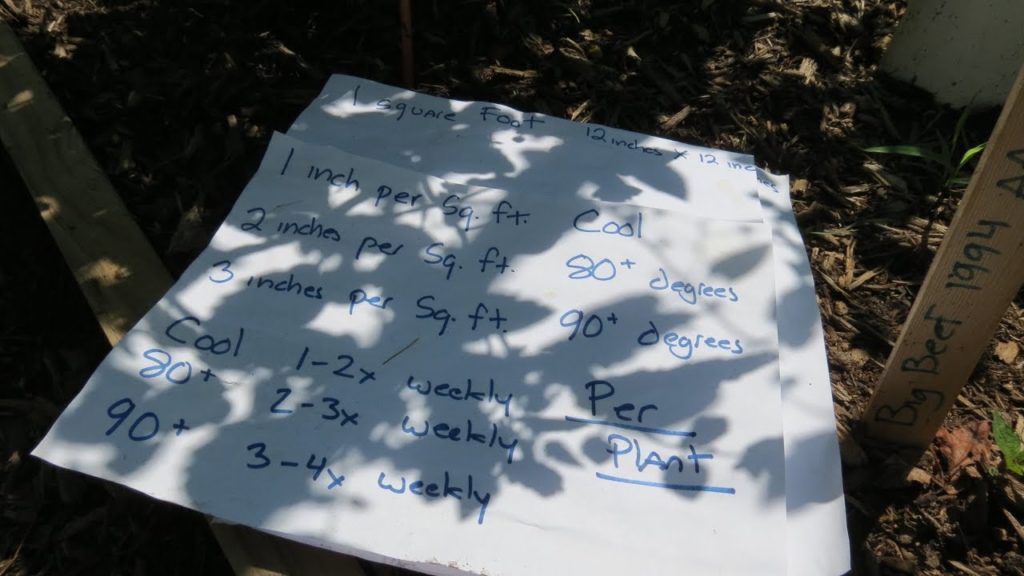 Gary Pilarchik: How to Water Your Vegetable Garden Beds & Containers: Based on Temperature, 1 Inch Per Plant & More! How to Water Your Vegetable Garden Beds & Containers: Based on Temperature, 1 Inch Per Plant & More!