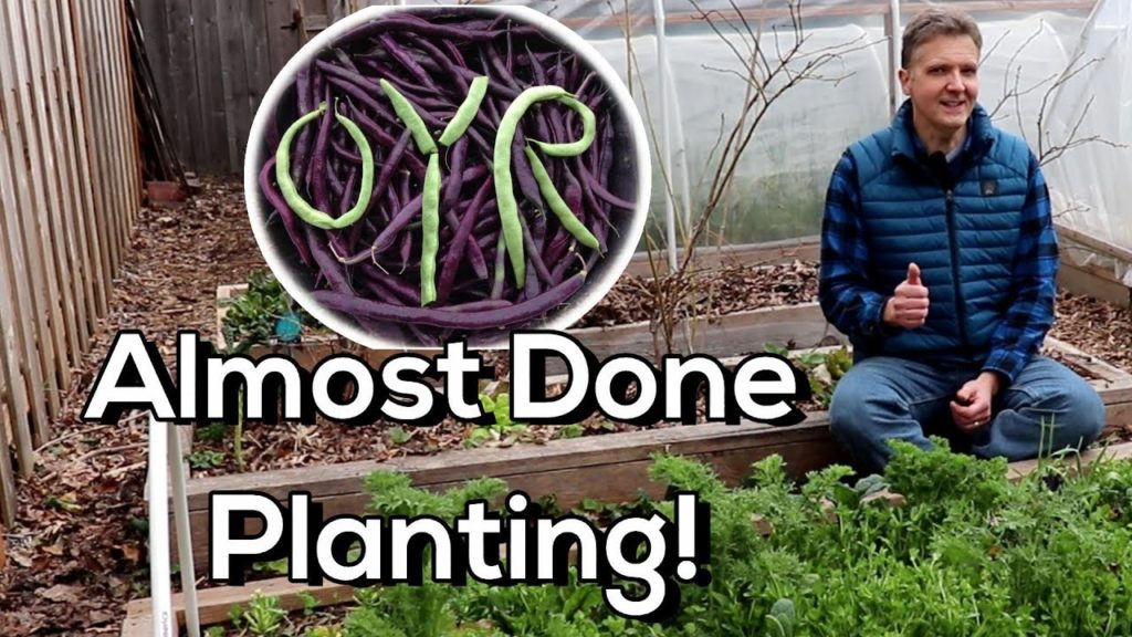 Planting Summer Crops Outside 3 Weeks B4 Last Frost! (Cucumbers, Summer Squash, Winter Squash)