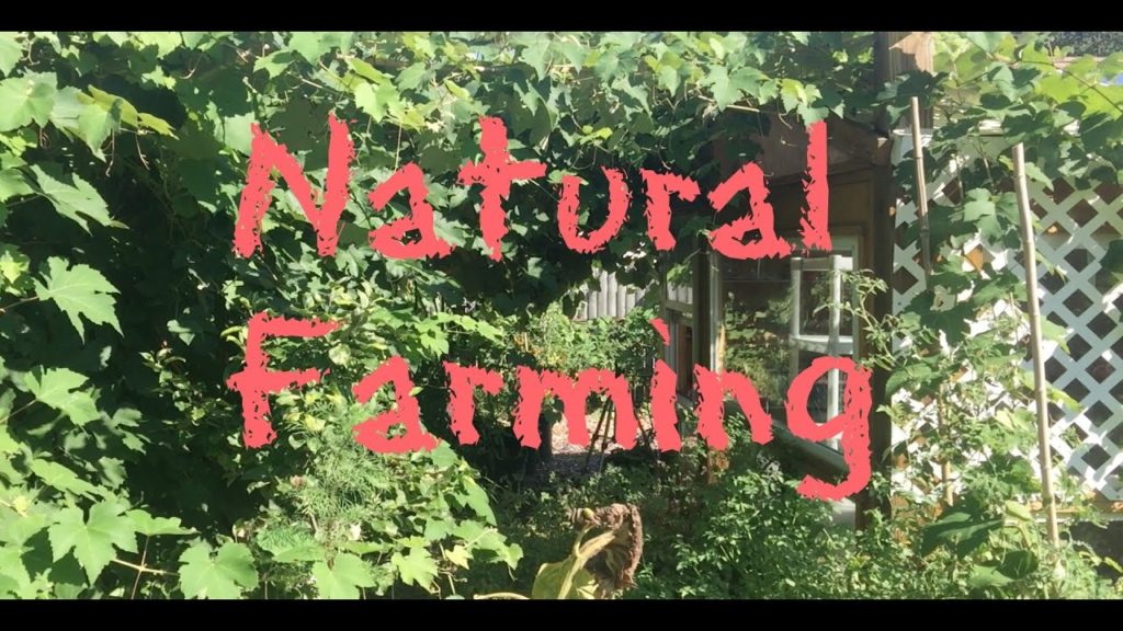 Natural Farming, A Functional Design Part 2