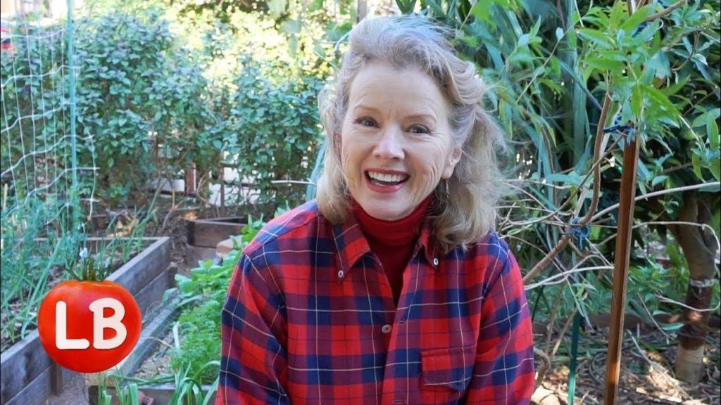 WINDY Garden Tour | End of Year Wrap-up | Fan Shoutout | Vlog