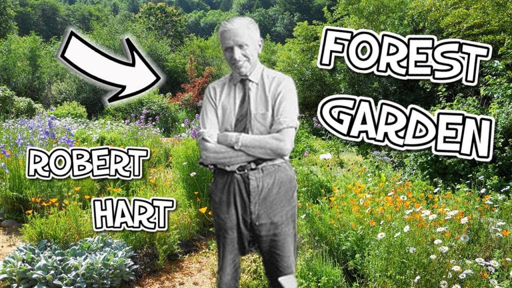 Forest Garden - Robert Hart