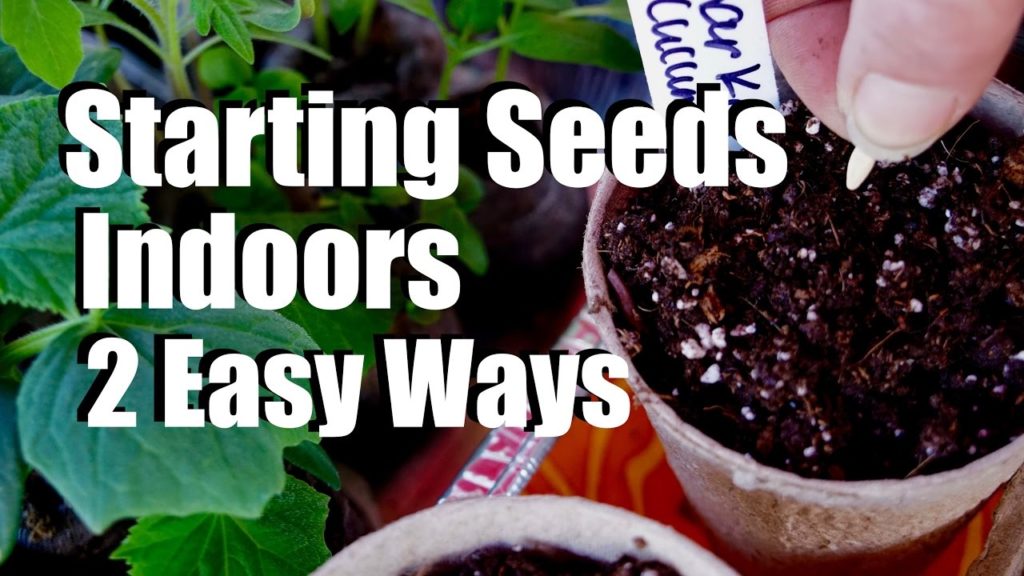 CaliKim: Starting Seeds Indoors for Your Spring Garden – 2 Easy Ways // $10 Garden Series #1, Season 2 Starting Seeds Indoors for Your Spring Garden - 2 Easy Ways // $10 Garden Series #1, Season 2