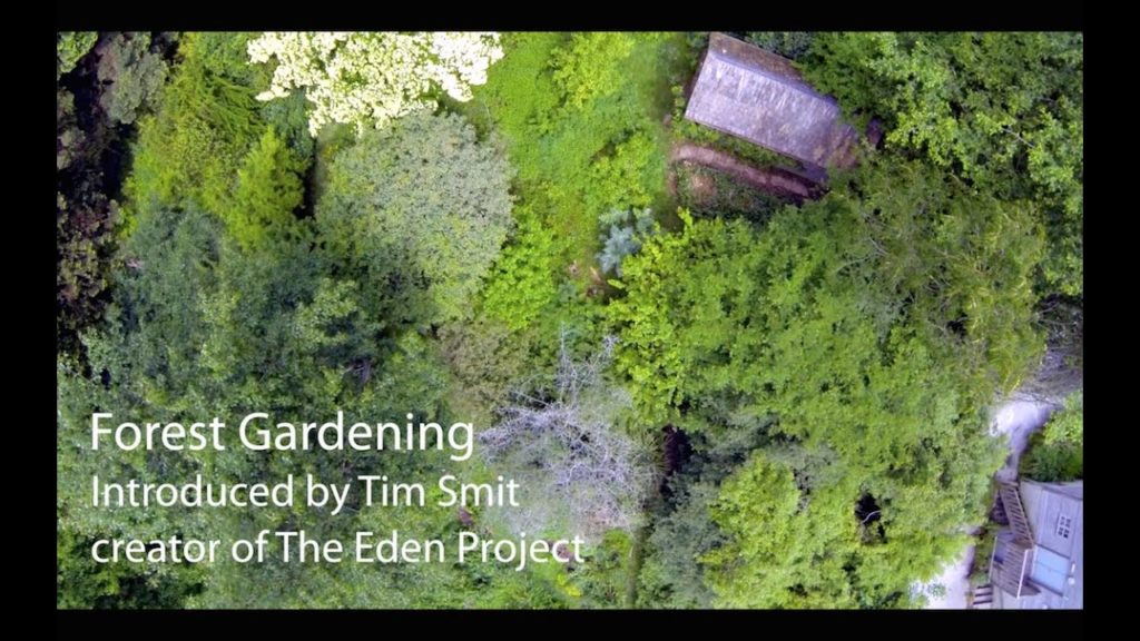 Forest Gardening | Living With The Land | Part 1 Forest Gardening | Living With The Land | Part 1