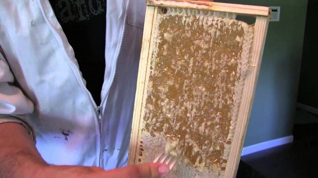 Honey Harvest & How We Extract Honey For FREE!