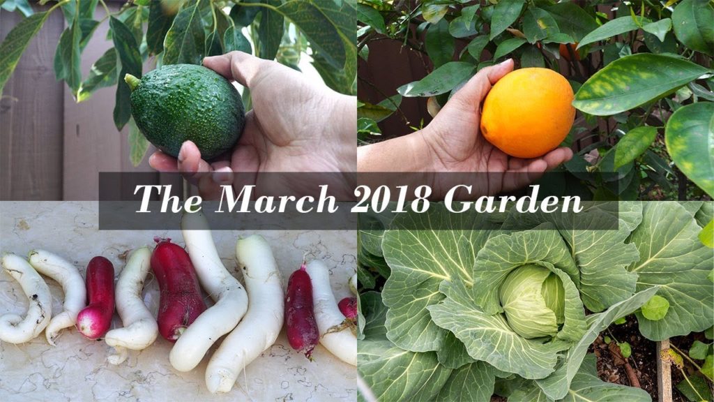 Happy Spring Season! California Garden Tour - March 2018