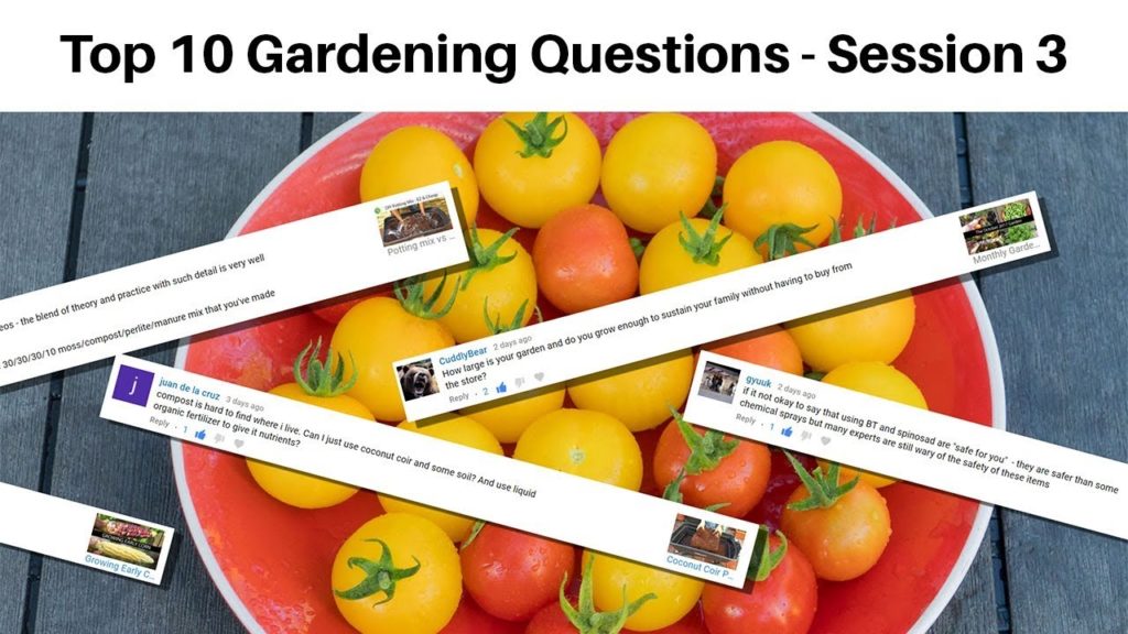 California Gardening: Your Top 10 Gardening Questions Answered! Garden Questions & Answers Session 3 Your Top 10 Gardening Questions Answered! Garden Questions & Answers Session 3