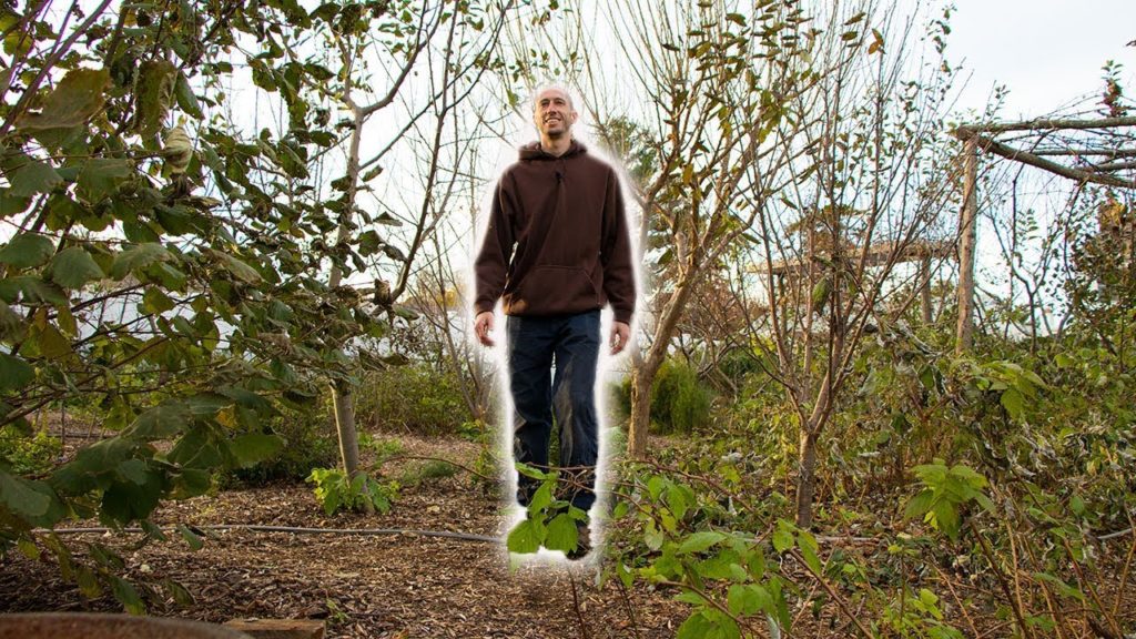 James Prigioni: Food Forest Garden Tour, Permaculture In a Suburban Neighborhood Food Forest Garden Tour, Permaculture In a Suburban Neighborhood