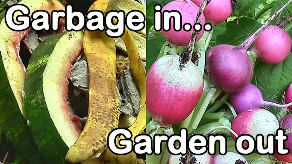 One Yard Revolution: Garbage In, Garden Out: Improve Soil Fertility with "Garbage" Garbage In, Garden Out: Improve Soil Fertility with "Garbage"