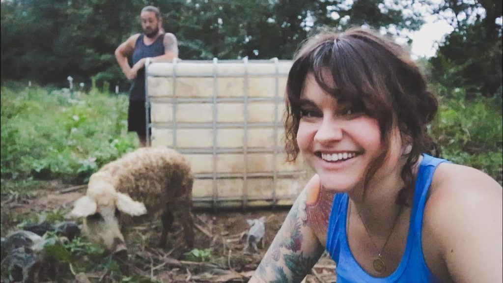 Roots and Refuge Farm: Speechless (and a Pig Update) | VLOG | Roots and Refuge Farm Speechless (and a Pig Update) | VLOG | Roots and Refuge Farm