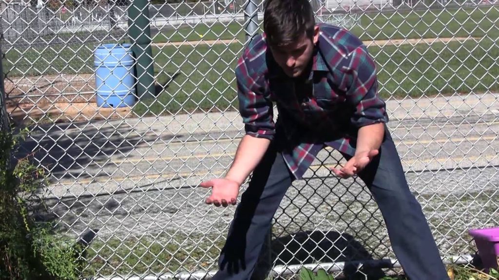 MIgardener: Simple Guide to preparing Your Garden Beds For Spring Simple Guide to preparing Your Garden Beds For Spring