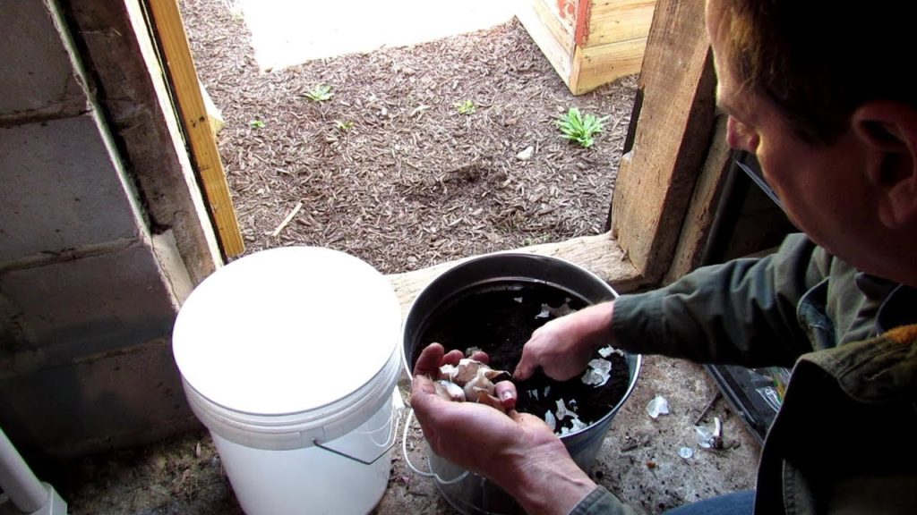 How to Quickly Plant Fall Garlic in Containers: All the Steps &  A Special Trick for Freezing Zones