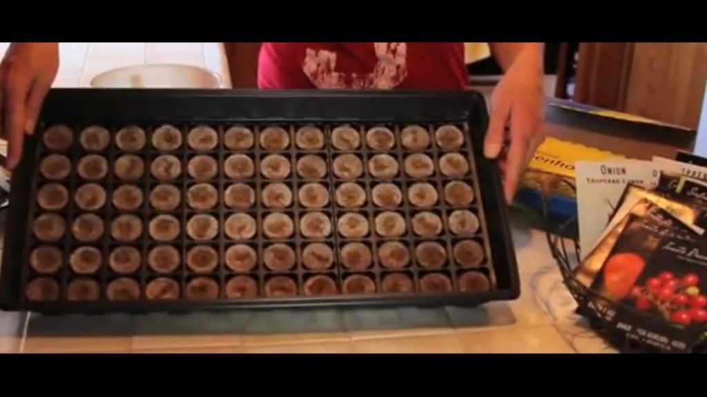 Starting Seeds Indoors with Kim Part 1 of 5