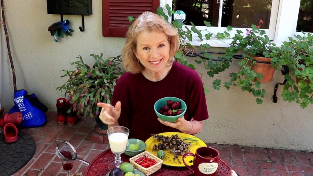 Kaye Kittrell: SAVOR the HARVEST, TASTE TEST, Saving Seeds | VLOG SAVOR the HARVEST, TASTE TEST, Saving Seeds | VLOG