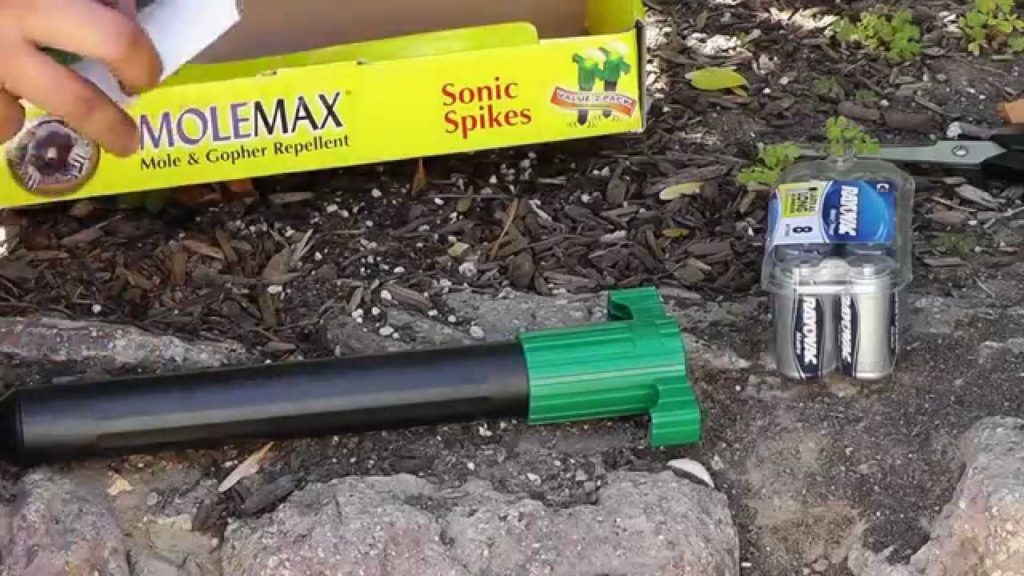 How to keep Chipmunks, Squirrels, Mice, Moles & Gopher away