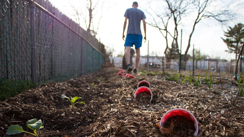 This Perspective Will CHANGE The Way You Garden