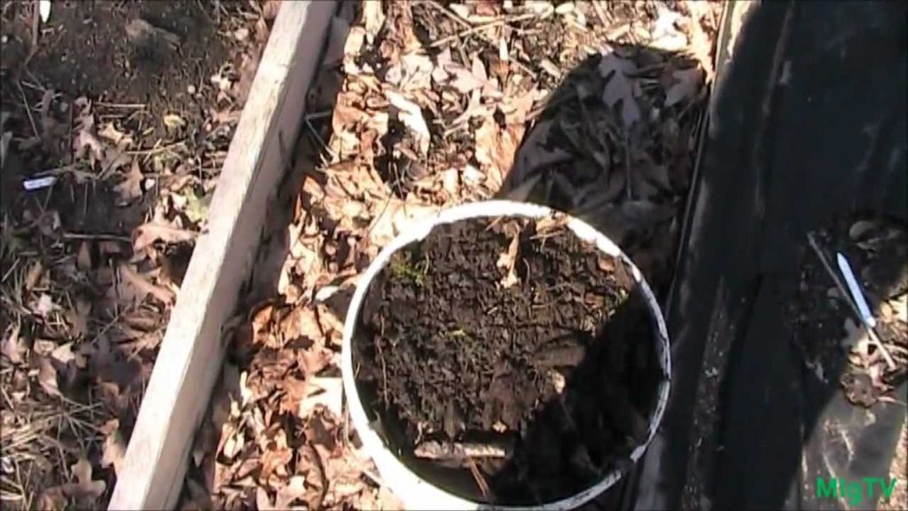 MIgardener: How to Get Totally Free 100% Organic Compost How to Get Totally Free 100% Organic Compost