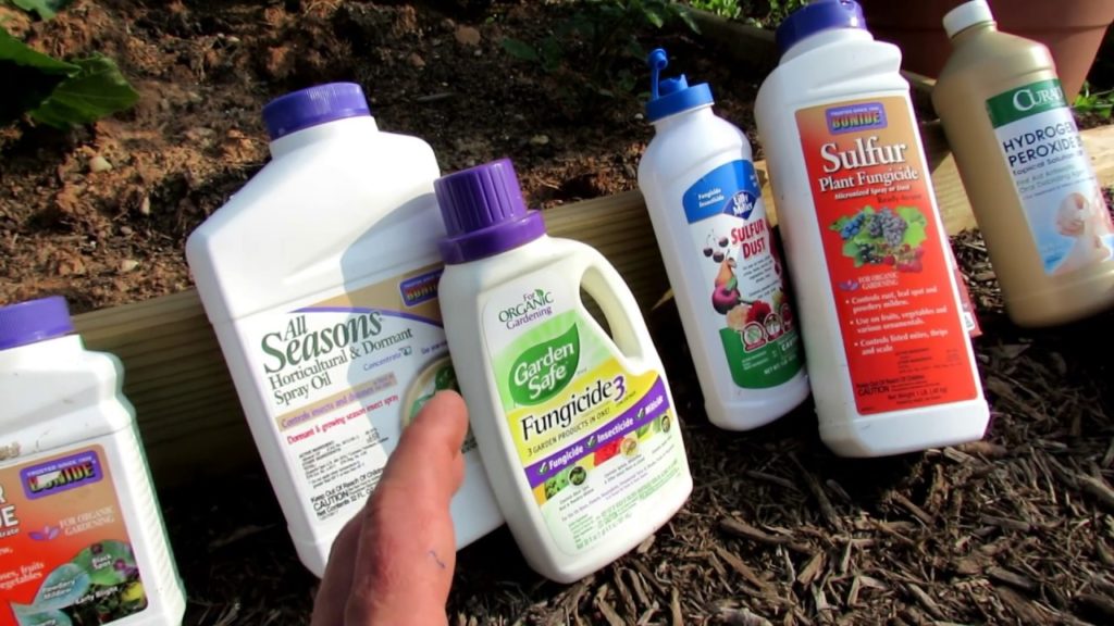 4 Common Mistakes Made When Managing Fungal Diseases in the Garden:  Overview of 6 Basic Fungicides