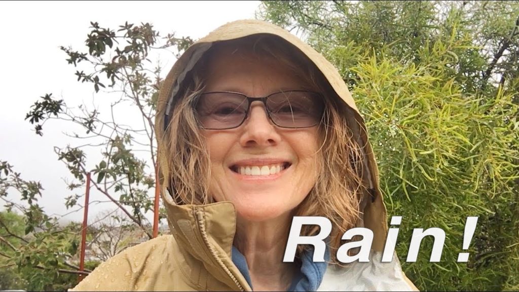 RAINY DAY in the Palisades | Garden Tour | Vlog
