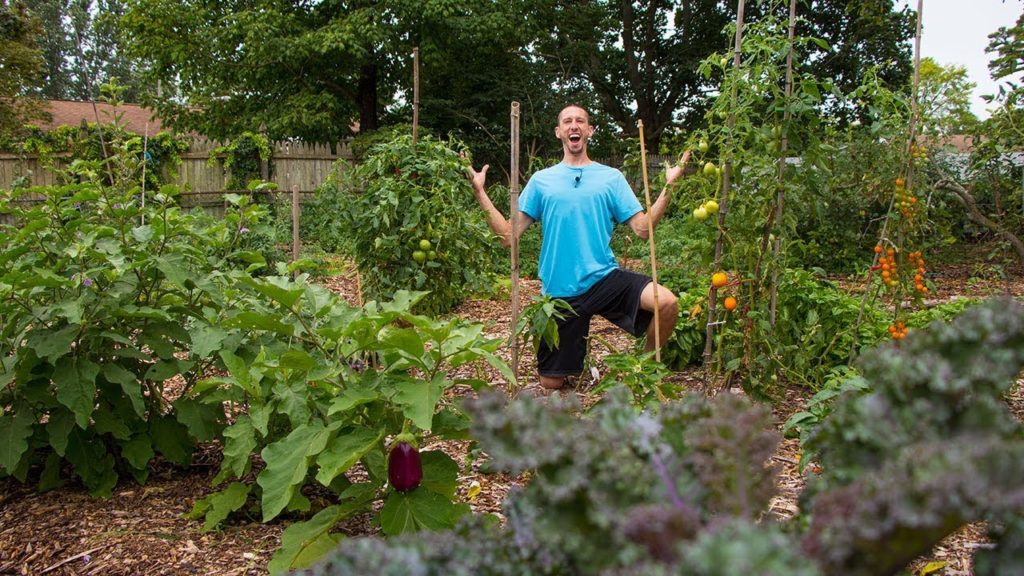 This Was ALL Grass A Few Months Ago