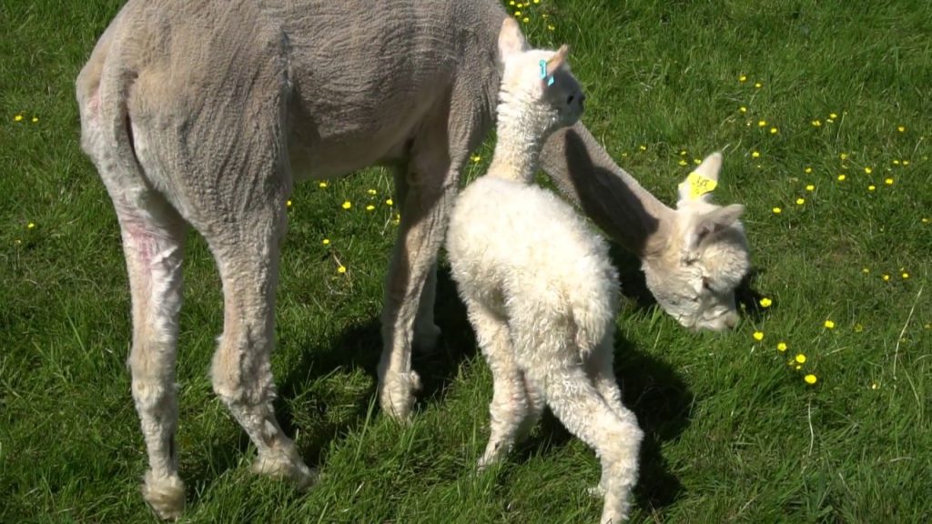 European Gardens | UK | DUNCHURCH | Walk to Draycote | Travelogue