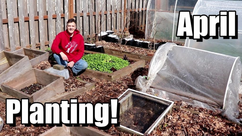 7 Summer Crops We're Planting Now Under Cover (& Free Planting Calendar)