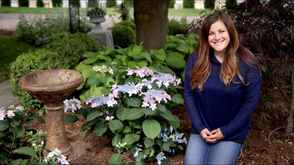 Garden Answer: Planting Tuff Stuff Ah-Ha Hydrangea and a Japanese Maple 🌿Pt 1 Planting Tuff Stuff Ah-Ha Hydrangea and a Japanese Maple 🌿Pt 1