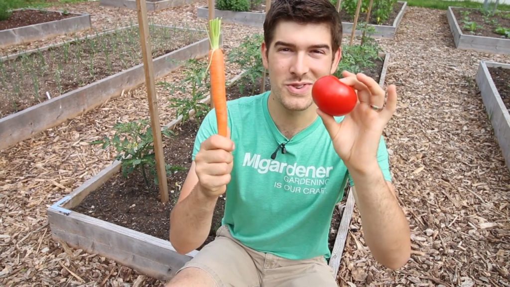 What Do The Numbers After Vegetable Names Actually Mean? It Probably Isn't What You Think!