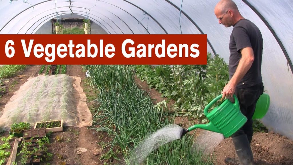 6 Vegetable Gardens