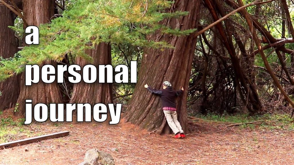 CALIFORNIA COAST | GOODBYE to BIG SUR and the Scenic Drive Home