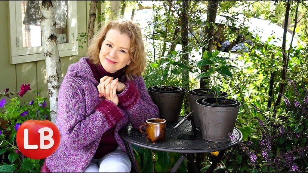 Kaye Kittrell: Kaye's Cozy Corner | About Those Sweaters | Vlog Kaye's Cozy Corner | About Those Sweaters | Vlog