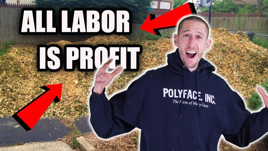 James Prigioni: EXCUSES are just well planned LIES! Working on the FOOD FOREST GARDEN EXCUSES are just well planned LIES! Working on the FOOD FOREST GARDEN