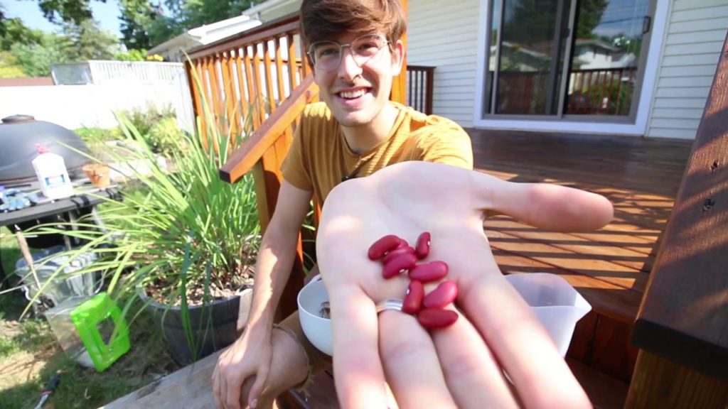 The One Plant Everyone Should be Growing for Food Security