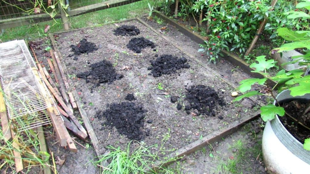 Using Compost to Prepare Your Tomato Beds For Next Spring:  Fall Compost Piles for Spring Planting
