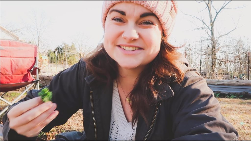 Growing Mud and Cattle Panels | VLOG | Roots and Refuge Farm