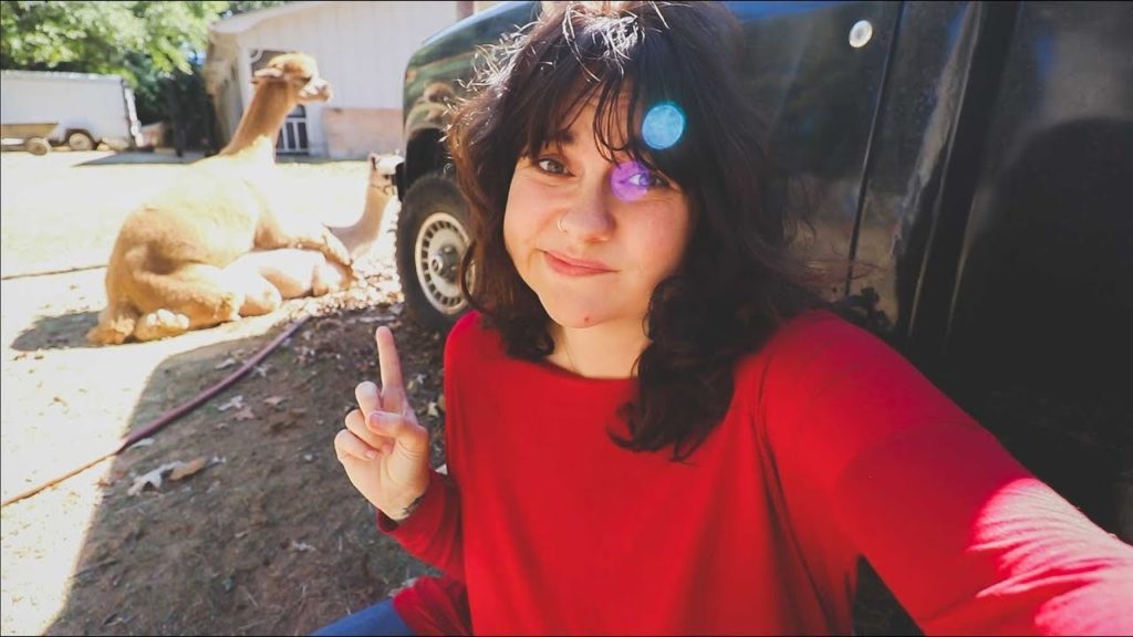 I'll Admit, It SHOCKED Me (Breeding the Alpacas) | VLOG