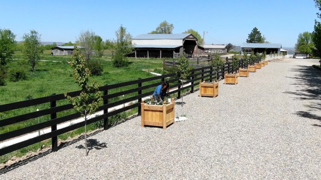 Planting Supertunia Vista Snowdrift at My Parent’s House! 🤩💚// Garden Answer