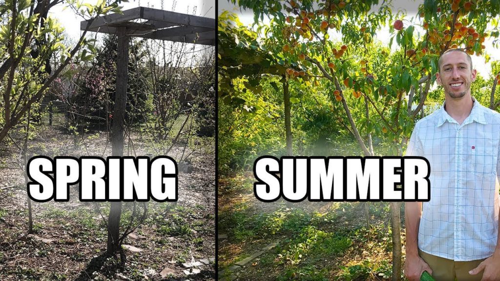 FULL Year Garden Tour 2017!