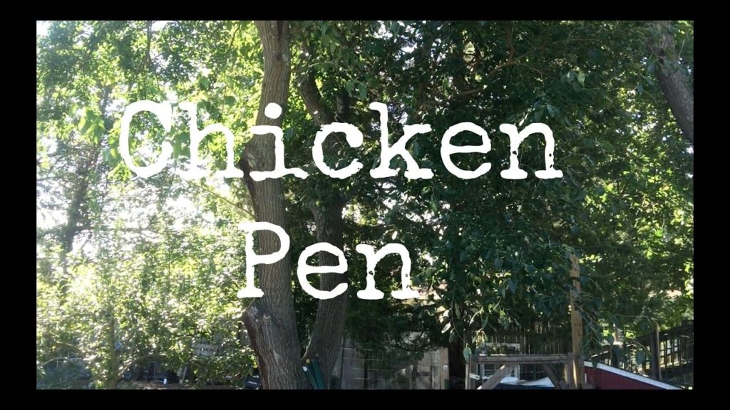 Building A Chicken Pen
