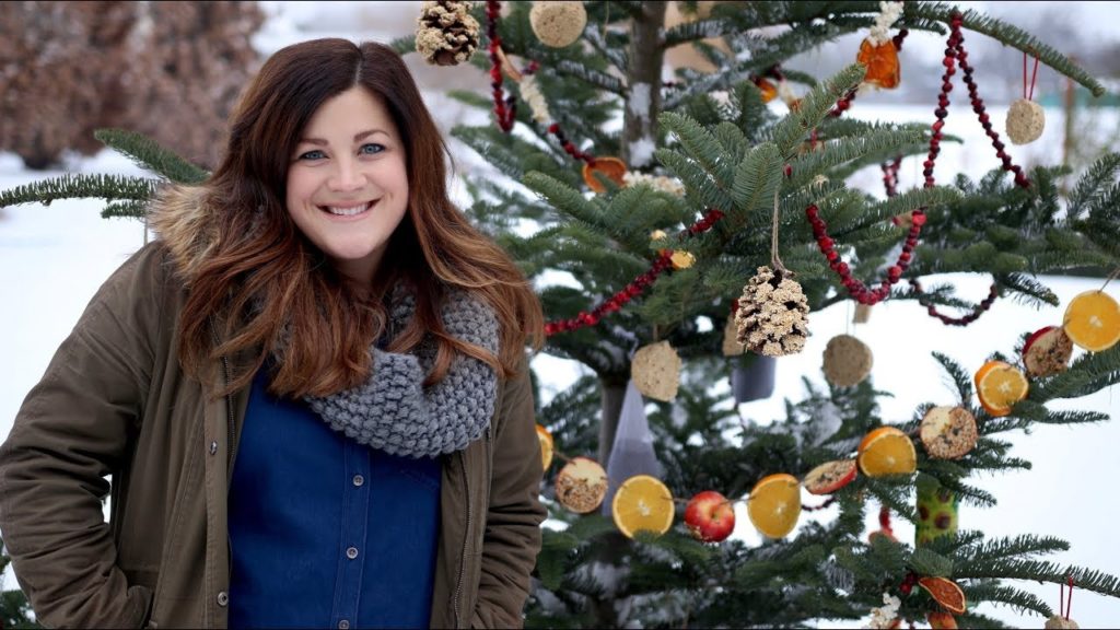 Christmas Tree Turned Bird Feeder 😃🌲🐦 // Garden Answer