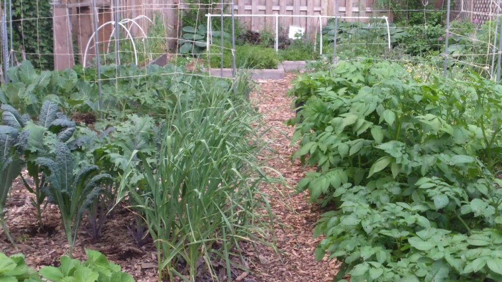 A Biochar Field Trial in Your Garden in 2014?