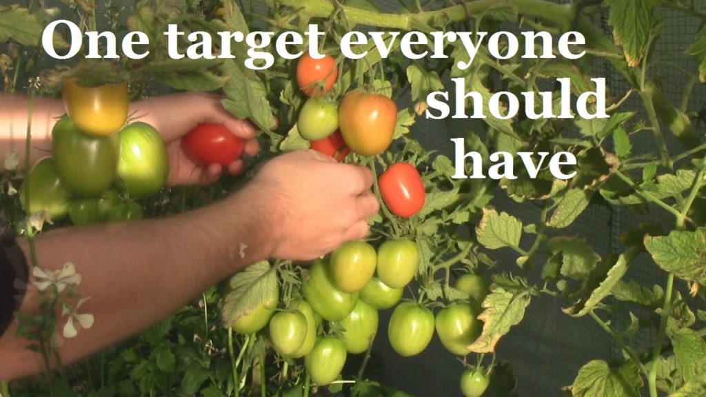 A Must Have Target for all Vegetable Gardeners