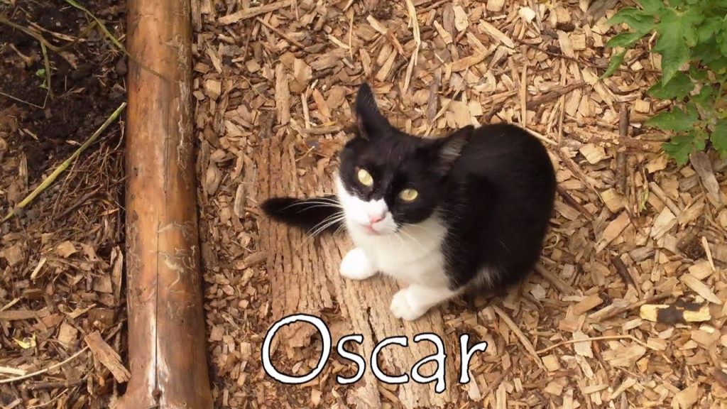 Weekend In The Garden (7/27 - 7/28)