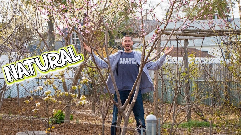 The Food Forest AWAKENS!