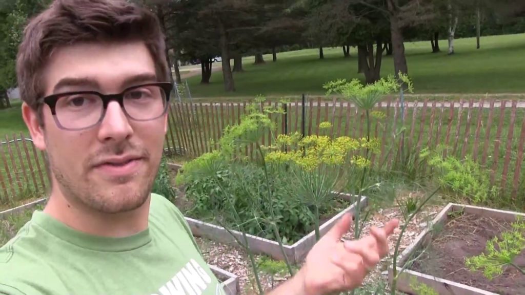 Cottage Garden Tour & The Largest Garlic We Have Ever Grown