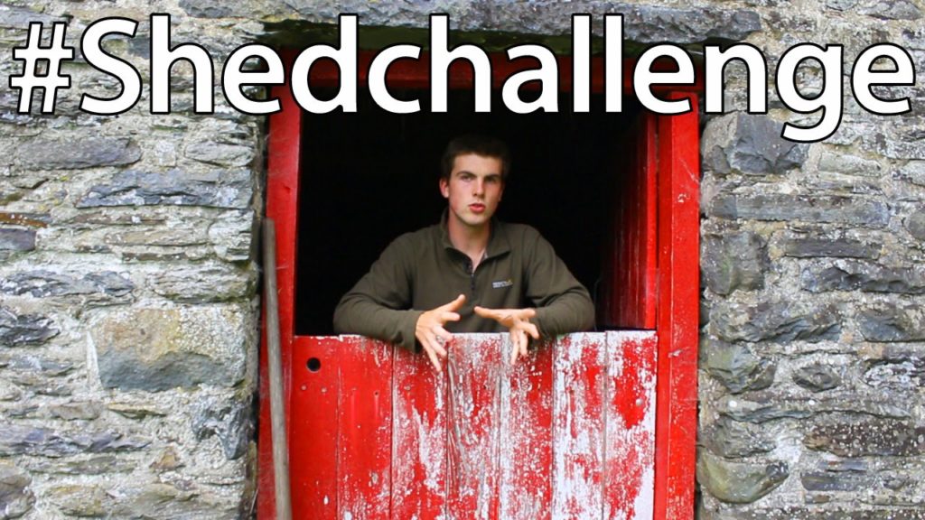 #shedchallenge - What's in our Shed?